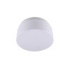 Plafonnier essentiel plastique blanc 1 lumière (s) d 25 cm  - Sanifer Tamatave