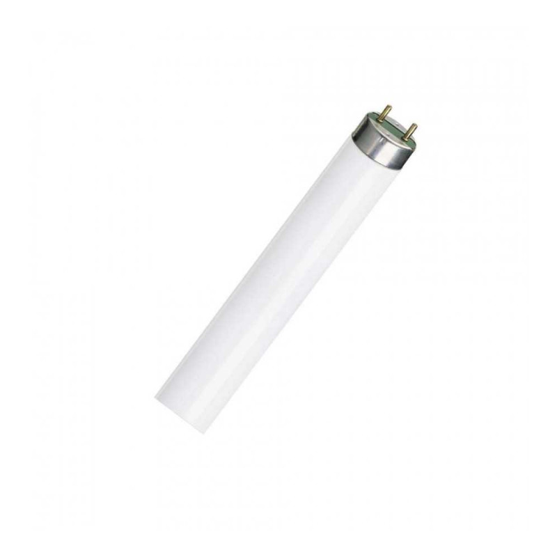  Lampe tube 1.50 l58w-830 Sermes SERMES - Sanifer Tamatave