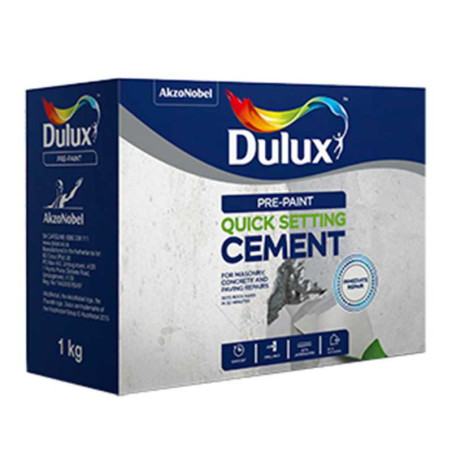  Prepaint quick set cement 1kg ciment de séchage rapide Dulux DULUX - Sanifer Tamatave