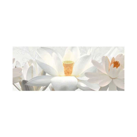  Carrelage mural 30x60cm   Staturio decor HL 01 SOMANY - Sanifer Tamatave