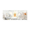 Carrelage mural 30x60cm   Staturio decor HL 01 SOMANY - Sanifer Tamatave