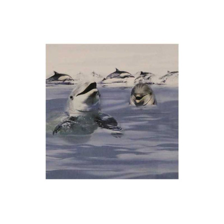  Carrelage mural marina blue 30x60cm  HL-01A+HL01B SOMANY - Sanifer Tamatave