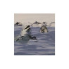  Carrelage mural marina blue 30x60cm  HL-01A+HL01B SOMANY - Sanifer Tamatave