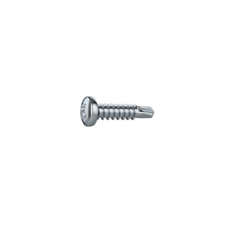  Lot de 30 vis autoperceuse acier tête fraisée phillips x l.13 mm Standers STANDERS - Sanifer Tamatave