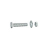  Lot de 15 boulons tête autofraisée plate acier zingué l.40 x diamètre 4 mm  Standers STANDERS - Sanifer Tamatave