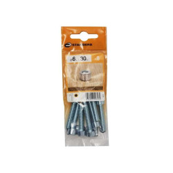  Lot de 8 vis pas métrique tête cylindrique bombée acier zingué l.30  Standers STANDERS - Sanifer Tamatave