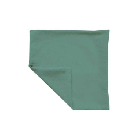  Housse de coussin pharell vert h 45 x l 45 cm INSPIRE - Sanifer Tamatave