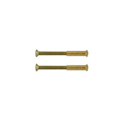  Lot de 2 vis acier laitonné l 4 5 x l 0 7 Sans marque - Sanifer Tamatave