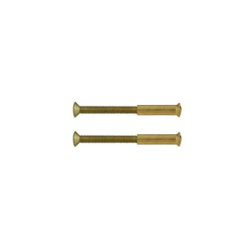  Lot de 2 vis acier laitonné l 4 5 x l 0 7 Sans marque - Sanifer Tamatave