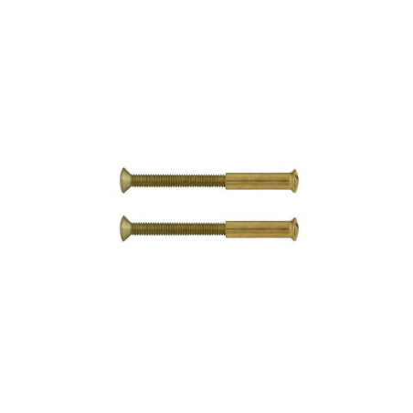  Lot de 2 vis acier laitonné l 4 5 x l 0 7 Sans marque - Sanifer Tamatave