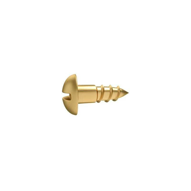  Lot de 20 vis laiton tête ronde diamètre 3.5 mm x l.20 mm Standers STANDERS - Sanifer Tamatave