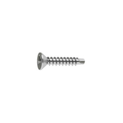 Lot de 100 vis autoperceuse acier tête fraisée phillips x l.25 mm Standers  - Sanifer Tamatave