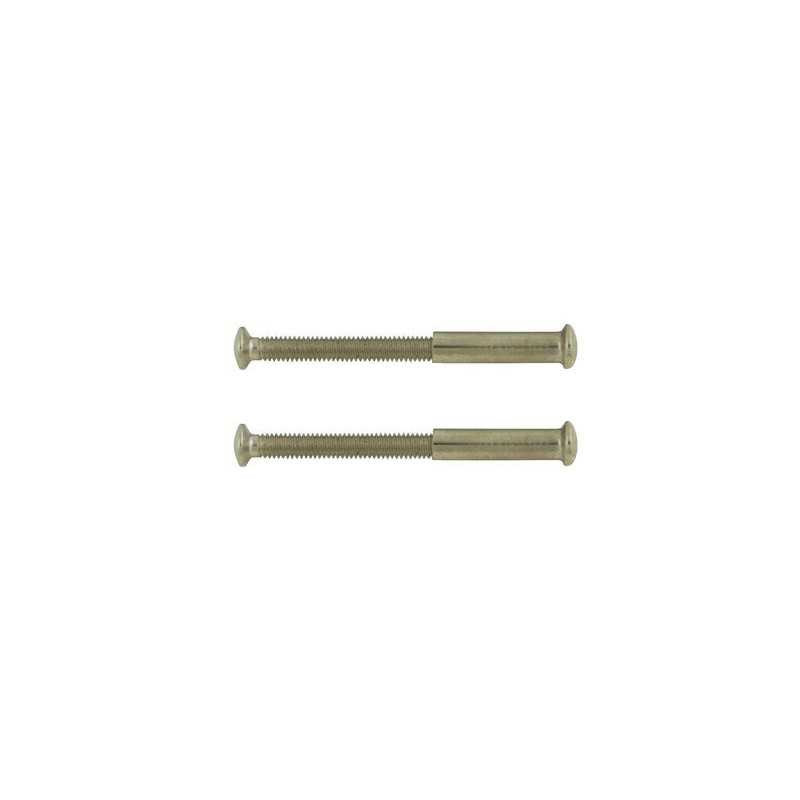  Lot de 2 vis acier nickelé l 4 5 x l 0 7  - Sanifer Tamatave
