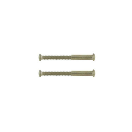  Lot de 2 vis acier nickelé l 4 5 x l 0 7  - Sanifer Tamatave