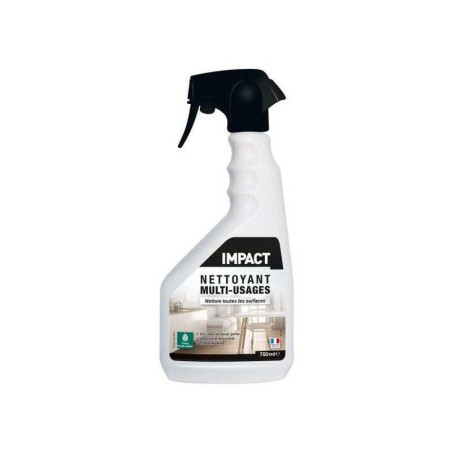 Nettoyant liquide multisurface impact 750  ml  - Sanifer Tamatave