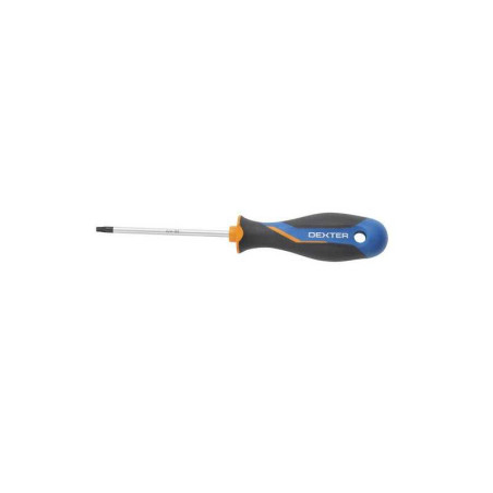  Tournevis torx t25 l.100 mm Dexter  - Sanifer Tamatave
