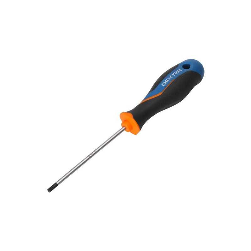  Tournevis tamper torx tt20 l.100 mm Dexter  - Sanifer Tamatave
