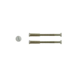  Lot de 2 vis acier laqué l 4 5 x l 0 7  - Sanifer Tamatave