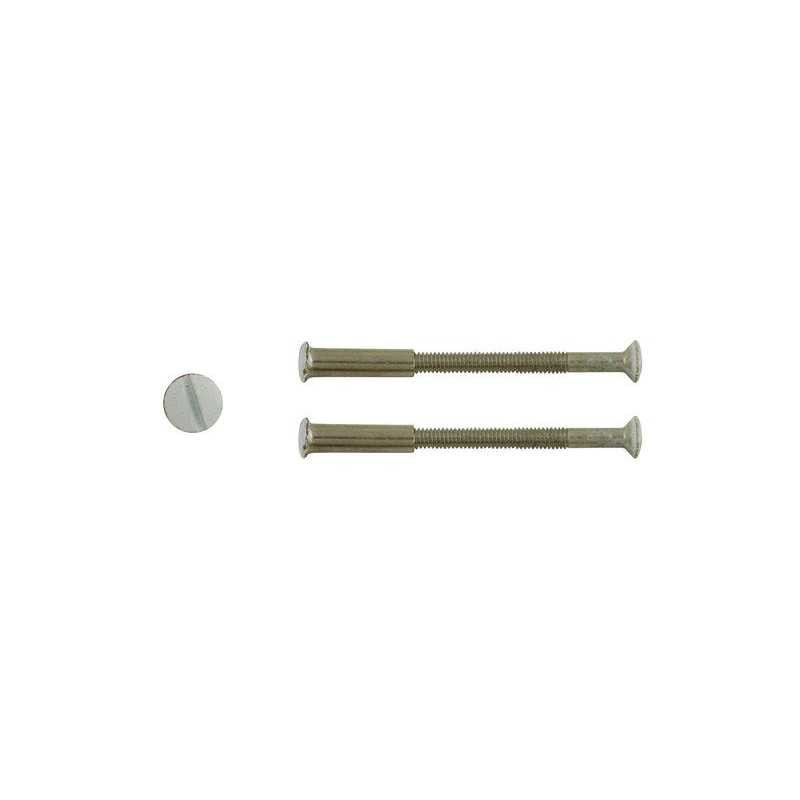  Lot de 2 vis acier laqué l 4 5 x l 0 7  - Sanifer Tamatave