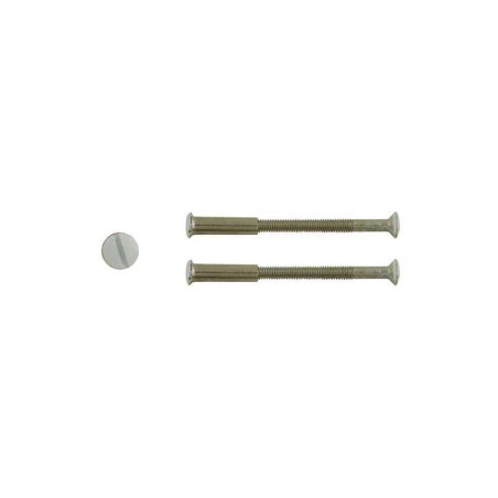  Lot de 2 vis acier laqué l 4 5 x l 0 7  - Sanifer Tamatave