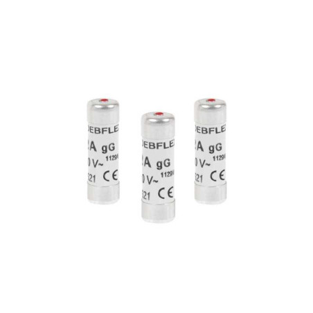  Lot de 3 fusibles céramique 25 a 10 3 x 31 5 mm  - Sanifer Tamatave