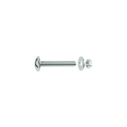  Lot de 15 boulons tête ronde acier zingué l.25 x diamètre 4 mm  Standers  - Sanifer Tamatave