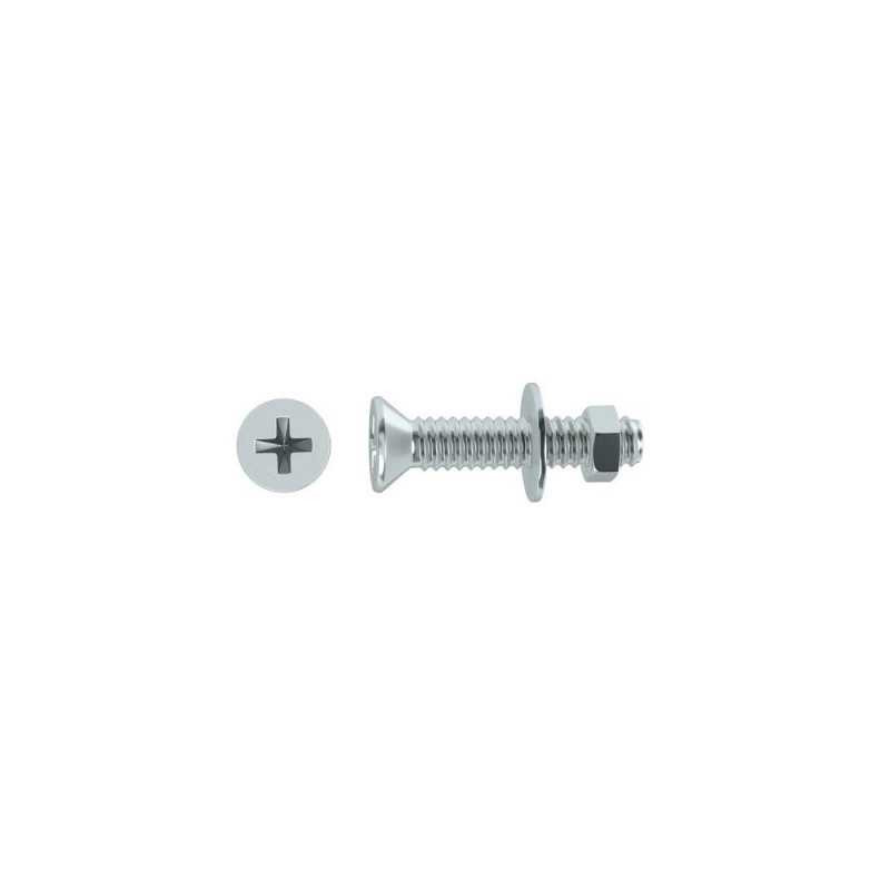  Lot de 6 boulons tête autofraisée plate acier zingué l.50 x diamètre 6 mm  Standers  - Sanifer Tamatave