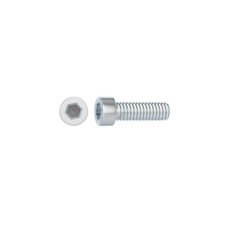  Lot de 10 vis pas métrique tête cylindrique bombée acier zingué l.20  Standers  - Sanifer Tamatave