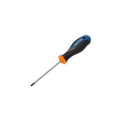  Tournevis torx t20 l.100 mm Dexter  - Sanifer Tamatave