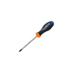  Tournevis tamper torx tt30 l.115 mm Dexter  - Sanifer Tamatave