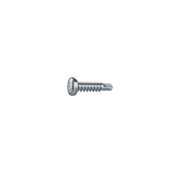 Lot de 100 vis autoperceuse acier tête bombée phillips x l.25 mm Standers  - Sanifer Tamatave