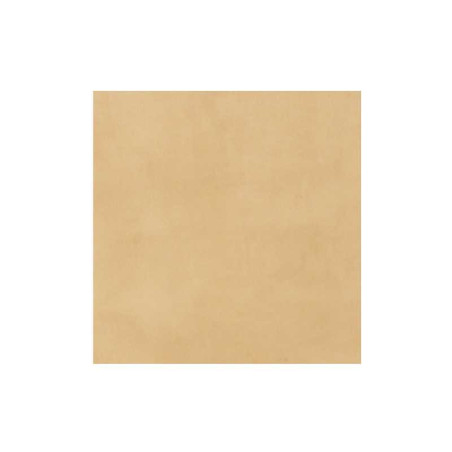 Carrelage sol 60,8X60,8cm AT BIO SANNG2-9 PAMESA CERAMICA - Sanifer Tamatave