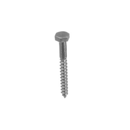  Tirefond tête hexagonale 10x60mm vrac 1kg  - Sanifer Tamatave