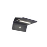 Applique solaire INSPIRE Kiana 600 Lumens anthracite| Sanifer
