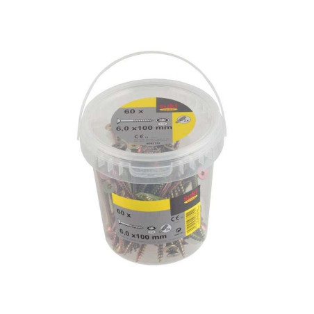 Seau 60 vis TF TX 6x100 mm + embout T25| Sanifer