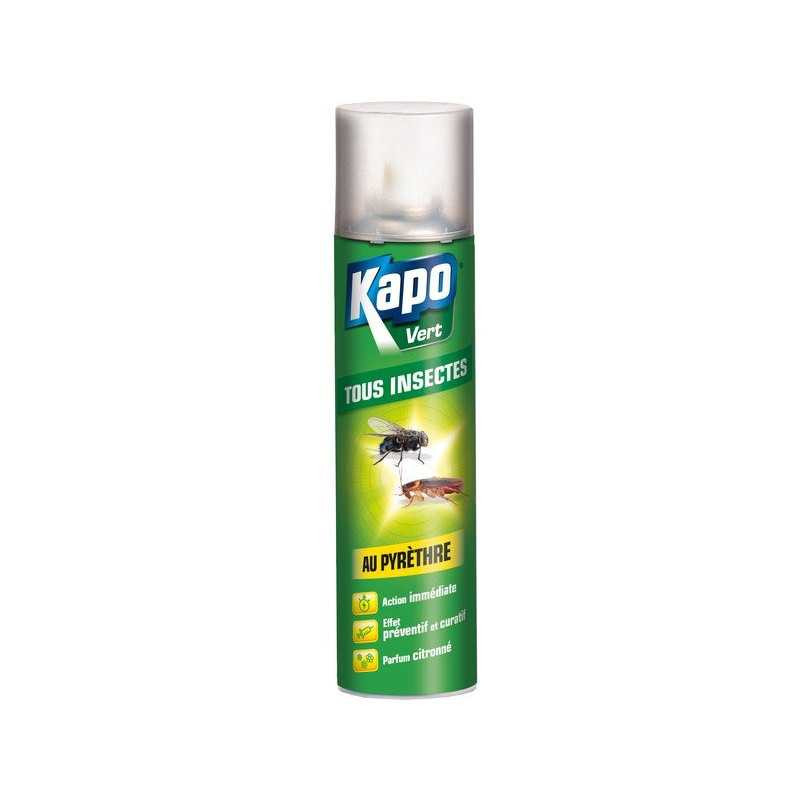 Aérosol tous Insectes Kapo 300 Ml| Sanifer Tamatave