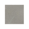 Carrelage sol 30x30 cm antidérapant gris série AS-Grey|Sanifer Tamatave