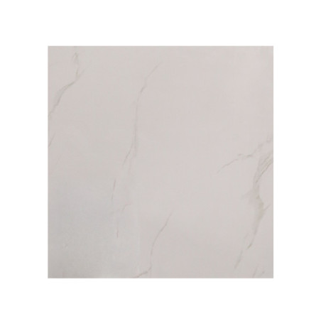 Carrelage sol 60x60cm XF-S600-001 (A6601) GLOSS