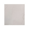 Carrelage sol 60x60cm XF-S600-001 (A6601) GLOSS