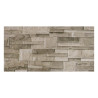 Carrelage mural 30x60cm CARPI-09 CE MATT|Sanifer