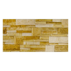 Carrelage mural 30x60cm CARPI-05 CE MATT|Sanifer