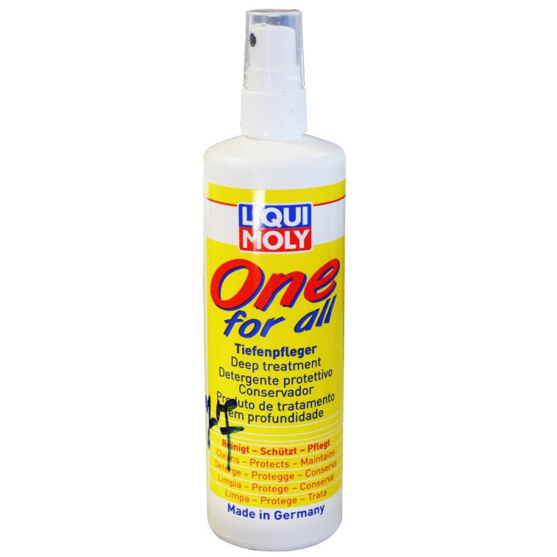  Renove plastique universel 250ml-1/12 LIQUI MOLY - Sanifer Tamatave