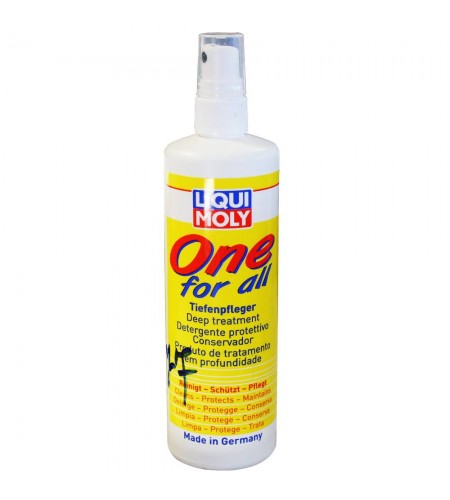  Renove plastique universel 250ml-1/12 LIQUI MOLY - Sanifer Tamatave
