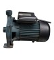 Pompe surface hmt 59m-7.8m3-h ft Shimge pump SHIMGE - Sanifer Tamatave