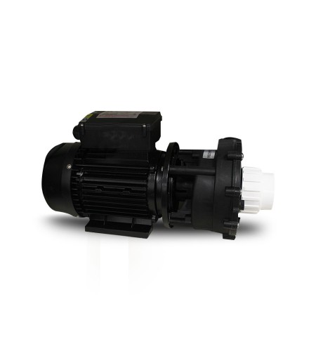 Pompe de spa 37m3-h 2200w L'enigme mobilis  - Sanifer Tamatave